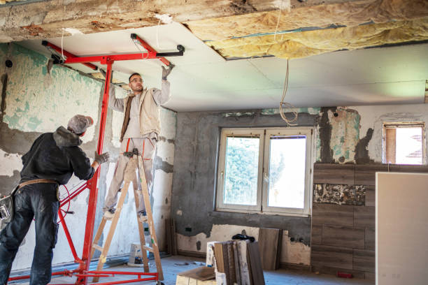 Best Insulation Contractors for Homes  in USA